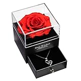 Echte Rose mit Liebe Sie Halskette Geschenk für sie, Rosenblume zum Valentinstag Muttertag Jubiläum Geburtstagsgeschenk für Frauen, Freundin, Frau, Mutter (Rot)