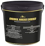 Anabol Masse Gainer 3,0 KG - Whey Proteinpulver mit starken Aminosäuren - Sonderangebot Eiweißpulver (Erdbeere)