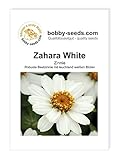 Blumensamen Zahara Single White Z
