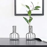 IHONYI Vase aus Eisen,Schwarzer Blumenvase, Reagenzglasvase Für Hydroponikanlage,Klein Modern als Tischdeko Deko Dekoration Geschenk Gestell Natur T