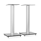 Electronic-Star BS58 - Lautsprecher Ständer, Boxen Ständer, Lautsprecher Sockel, getöntes Sicherheitsglas, Aluminium, Fester Stand, stabil, max. Gewicht : 10 kg, grau-Silb