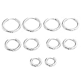 JSDDE Piercing Schmuck,10x Chirurgenstahl Creolen Ohrringe Hoop Ring Huggie Kreolen Ohrringe 8-16mm Silber (Mixed Size)