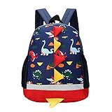 Kinderrucksäcke Kindertasche Kindergarten Rucksack Cartoon Dinosaurier Backpack für Mädchen Jungen(Dunkelblau Kinderrucksäcke)