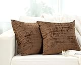 Azra Home Luxus Kissenhülle im 2er Set,Samt Kissenbezug 40x40,Dekokissen,Kissenhülle 40x40 für Sofakissen,Couchkissen,Outdoorkissen,Bett Deko,Wohnzimmer Deko,Zierkissenbezüge,deko (Braun, 40x40)