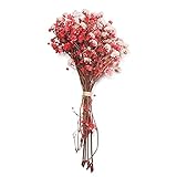 1 Bündel Mini Natürliche Getrocknete Blumen Frisch Konservierte Blumenstrauß Dekorative Fotografie Foto Hintergrund Dekor,Rot(12,15CM)