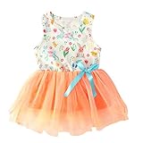 Kleinkind Baby Mädchen Ostern Bonny Tüll Kleid Niedlich Cartoon Kaninchen Print Ärmellose Weste Siamesische Spitze Tutu Röcke Säugling Mädchen Sommer Kleidung Set Gr. 2 Jahre, Orang
