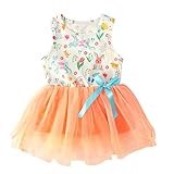 Kleinkind Baby Mädchen Ostern Bonny Tüll Kleid Niedlich Cartoon Kaninchen Print Ärmellose Weste Siamesische Spitze Tutu Röcke Säugling Mädchen Sommer Kleidung Set Gr. 2 Jahre, Orang