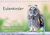 Eulenkinder - Kleine Waldohreulen entdecken die Welt (Tischkalender 2022 DIN A5 quer) [Calendar] Müller, Carolin [Calendar] Müller, C