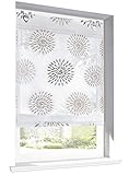 BAILEY JO Raffrollo mit Kreis-Motiven Druck Design Rollos Voile Transparent Vorhang (BxH 80x140cm, Braun mit U-Haken)