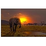 zxianc Poster Und Drucke Afrikanische Savanne Landschaft HD Druck Giraffe Elefant Leinwand Malerei Poster Wandkunst Bild Wohnzimmer Wohnkultur 75x115cm Kein R