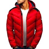 BIKETAFUWY Winterjacken für Herren Winter Outdoor Daunenjacke gefüttert Stehkragen Wintermantel Leicht Übergangsjacke mit Kapuze Steppjacke Funktionsjack