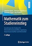 Mathematik zum Studieneinstieg: Grundwissen der Analysis für Wirtschaftswissenschaftler, Ingenieure, Naturwissenschaftler und Informatiker (Springer-lehrbuch)