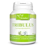 Serafin Tribulus Naturkapseln – Tribulus terrestris – 90 Kapseln – Erd-Burzeldorn + Zink + Vitamin E – Fruchtbarkeit, Unterstützung der Genitalien und Harnwege, Energie, Immunität, Musk
