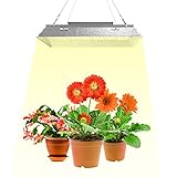 LED Grow Light Vollspektrum Veg Flower 1000W/2000W/4000W Zimmerpflanzen Wachsen Zelt Dimmbar (2000W)