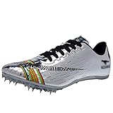 LIXIN Jungen Sportschuhe, Herren Leichtathletik Sprint Professionelle Spikes Schuhe, Frauen Lauf Weitsprung Schuhe Student Trainingsschuhe,Silber,41