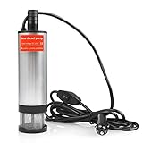 QLOUNI Tauchpumpe 51mm Dieselpumpe DC 12V Ölpumpe Wasserpumpe mit Filter Mesh Zigarettenanzünder Transfer Heizöl Treibstoff für Auto, KFZ, Caravan, Marine B