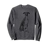 Italian Greyhound Hund Windhund Italienisches Windspiel Sw