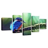 5-Teiliger Kunstdruck Auf Leinwand, Vogel Tier Aussehenwandbild, Malerei Set Kunst Handwerk Bilder Für Haus Wand Dekor (Sweet Home-150X80cm)