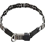 Sprenger Hundehalsband Neck-Tech Fun mit ClicLock Verschluss I Hundehalskette aus rostfreiem Edelstahl, matt, Flache austauschbare Gliederkette, 60