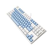 60% Gaming Tastatur 87 Tasten RGB Rainbow LED Hintergrundbeleuchtung Tenkeyless Mechanische Tastaturen für Windows und Mac (Schwarze Schalter, Blau-Weiß)