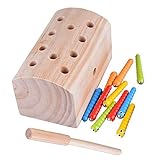 Xrten Magnetisch Fang Insekten Spiel Holzspielzeug,Kinder Pädagogische Montessori Spielzeug Holz Spielzeug