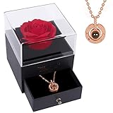 Beferr Infinity Rosen mit Ich Liebe Dich Halskette 100 Sprachen, Ewige Rose Schmuck Geschenk Box für Sie Freundin Mutter Frau Frauen Am Valentinstag Jubiläum Muttertag Geburtstag W