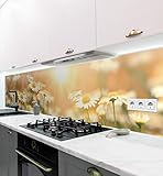 MyMaxxi | selbstklebende Küchenrückwand Folie ohne bohren | Aufkleber Motiv Blume 05 | 60cm hoch | adhesive kitchen wall design | Wandtattoo Wandbild Küche | Wand-Deko | Wandgestaltung