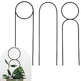 HYLYING Rankgitter für Topfpflanzen, 40 cm, rostfrei, klein, für den Innenbereich, Metall, Pflanzenstützstab für Kletterp