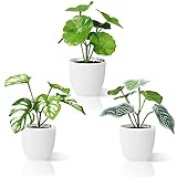 SOGUYI Künstliche Pflanzen 15cm Mini Indoor Kunstpflanze mit Töpfen Home Office Hotel Küche Garten Party Deko Pflanzen Deko Modern (3 Pack)