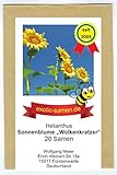 Riesen-Sonnenblume - Bienenweide - bis 4 Meter - Wolkenkratzer - Sky Scraper - 20 S