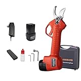 LZH FILTER Elektrisches Akku Astscheren Set, Tragbarer Bürstenloser Obstbaumschneider, 2,0 Ah Lithium Onen Akku, 25 Mm S