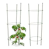 Relaxdays Rankhilfe Tomaten, 2er Set, Höhenverstellbare Ringe, Pflanzstäbe, Balkon, Beet, Kunststoff, 76 cm lang, Grü