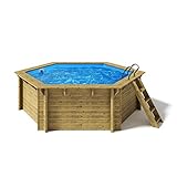 Paradies Pool® Holzpool Lani Komplettset inkl. Filteranlage, Scheinwerfer LED weiß, Folie blau mit 0,8mm Stärke, Sechseck-Pool, 421 x 118 (Ø x H), Menge: 1 Stück