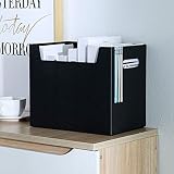 Desktop Organizer Buch Aufbewahrungsbox mit Griff Transportbox Container aus Kunststoff, Multifunktional Lebensmittelkiste Vorratsbox Storage Box für Datei, Bücher, Snack (Schwarz)