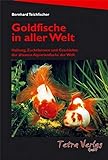 Goldfische in aller Welt: Haltung, Zuchtformen und Geschichte der ältesten Aquarienfische der Welt (Auflage 2020)