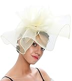 Z&X Sinamay Fascinator Kentucky Derby Kirche Hüte für Frauen Blumen Feder Tee Party Hut Braut Kopfschmuck mit Haarclip, 006b Beige, Einheitsgröß