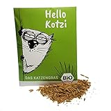 Hello Kotzi Premium Katzengras Saatmischung: 1 Beutel mit 25g Katzengras Samen für Katzengras – Eine saftige Wiese für Ihre Fellnase – Bio Katzen Leckerlies – Pflanzen Samen - G