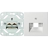 Gira 245200 Netzwerkdose 2-fach Cat.6A IEEE 802.3an Unterputz Einsatz & 27003 Zentralplatte 50 x 50 mm für UAE/IAEST55 reinweiß-glänzend Anschlußdosen, 027003