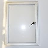 Schaukasten Infokasten mit Klapptür für außen 1x DIN A4