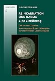 Reinkarnation und Karma. Eine Einführung: Der Sinn des Daseins. Vom vorgeburtlichen Lebensplan zur individuellen Lebensaufgabe (Vorträge von Judith von Halle)