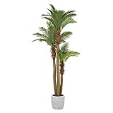 MULTI CASA MEX CH10811805 künstlicher Topfbaum Areca Palm H.300 grün, Kunststoff, Polyester, Extra b