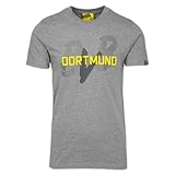 Borussia Dortmund Herren T-Shirt BVB-Kollektion T-Shirt, Grau, XL