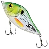 Salmo 30th Anniversary Sliders Sinking - Jerkbait, Größe/Gewicht/Farbe:12cm / 70g / Holo Green Strip