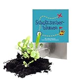 10x „Schatzsucher“ Samenbomben als Mitgebsel zum Kindergeburtstag / Schnitzeljagd / GeoCaching / Seedbombs / Partytüten / Mitgebseltüten / Geschenktüten / Blumen / Give-aways / Kinder / Saatkug