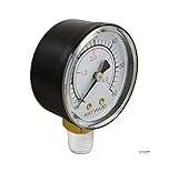 Hayward Ersatz-Manometer für Select Sand und D.E. Filter, limitierte Auflag