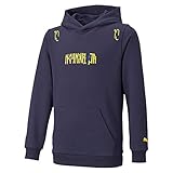 NEYMAR JR FUTURE Hoody J