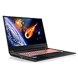 HoMei 24 GB RAM, 1 TB SSD, 2 TB HDD, 15,6 Zoll IPS Full HD 8 Core 11. Generation Intel Core i7-11800H 4,6 GHz Gaming Notebook Laptop PC