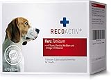 RECOACTIV Herz Tonicum für Hunde, 3 x 90 ml, Ergänzungsfuttermittel bei Herzfunktionsstörungen sowie zur Prophylaxe, mit L-Carnitin, Taurin, Omega-3-Fettsäuren und Weiß