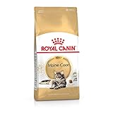 ROYAL CANIN Maine Coon Adult - 400 g