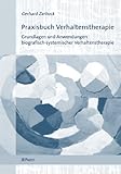 Praxisbuch Verhaltenstherapie: Grundlagen und Anwendungen biografisch-systemischer Verhaltenstherap
